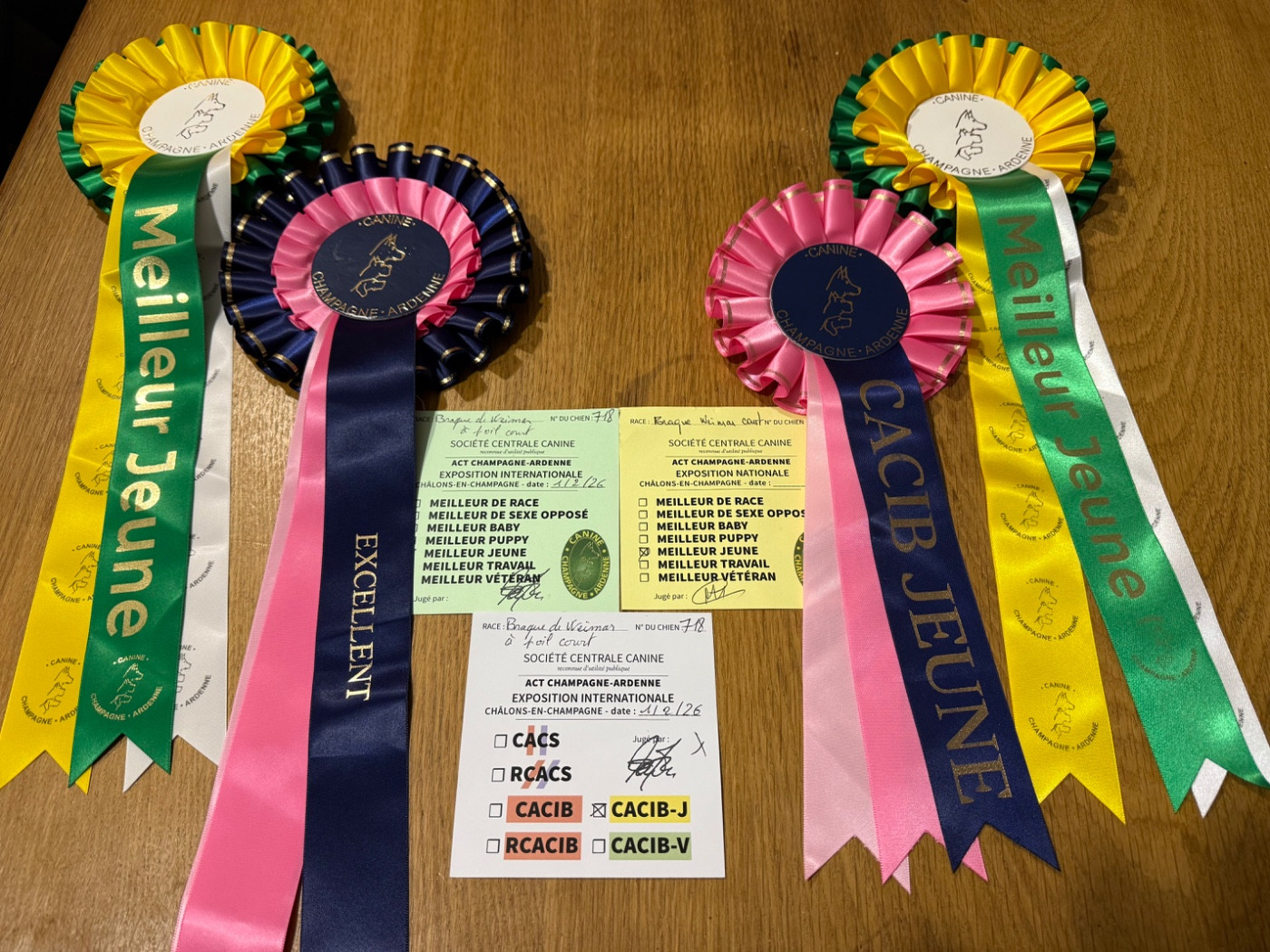 Exposition de Châlons en Champagne